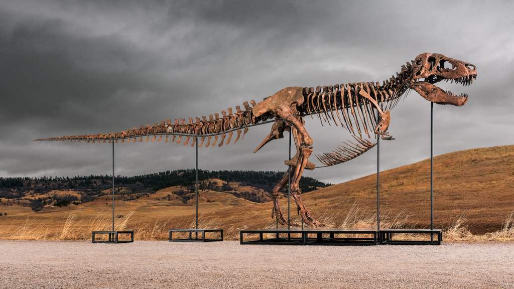 Fosil T-Rex Bernama Gus Terjual Rp 813 Miliar, Tuai Protes Ilmuwan